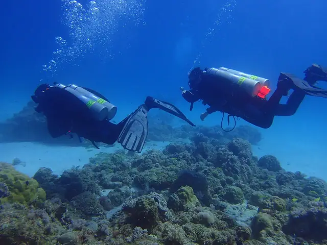 Just Diving