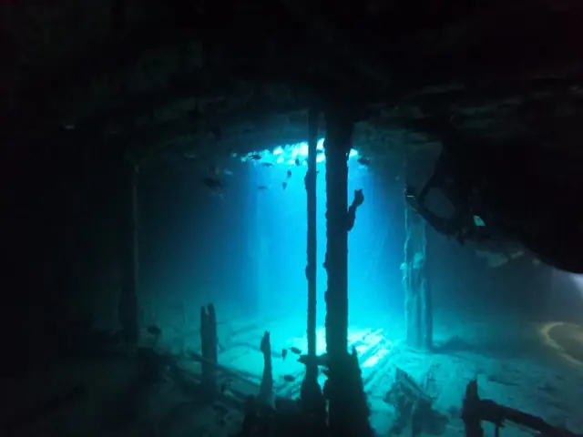 Just Diving photo 3