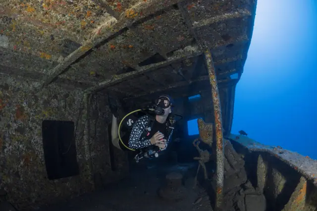 SeaUrchin Diving Center