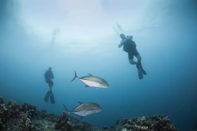 SeaUrchin Diving Center photo 2