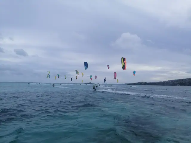 The Nest Kitesurfing photo 4