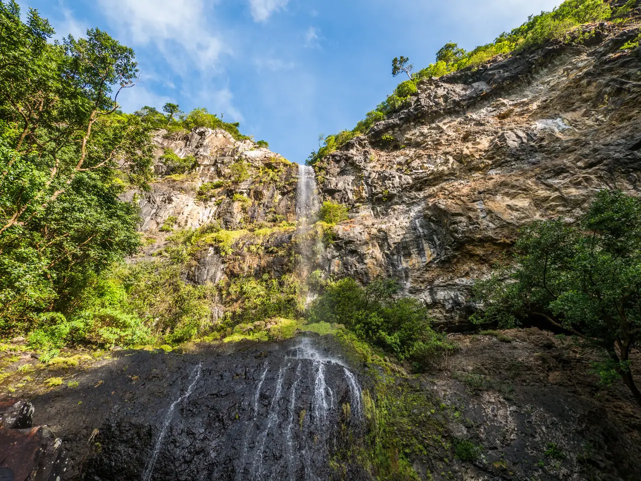 Black River Gorges National Park photo 2