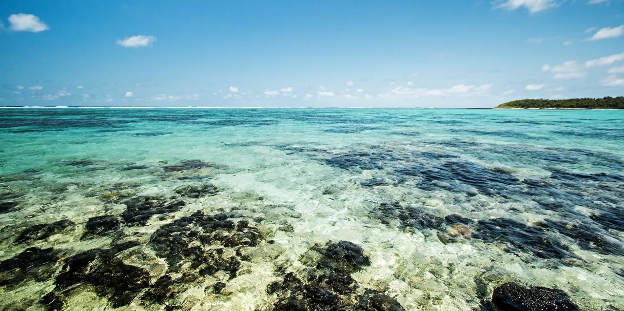 Blue Bay Marine Park photo 2