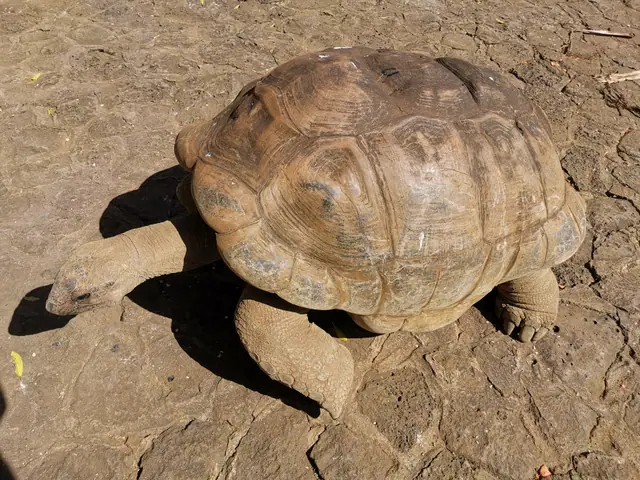 La Vanille Nature Park
