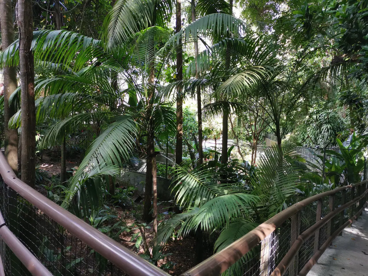 La Vanille Nature Park photo 2