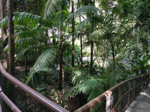 La Vanille Nature Park photo 2