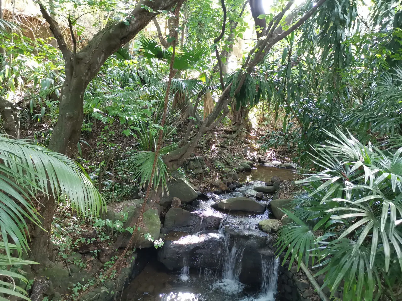 La Vanille Nature Park photo 3