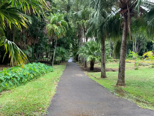 Sir Seewoosagur Ramgoolam Botanic Garden photo 2